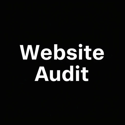 Website Audit